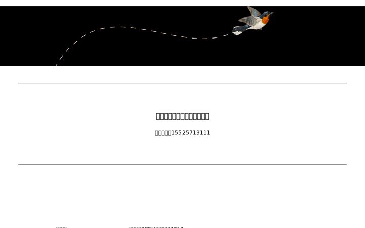 Screenshot of 044300.net