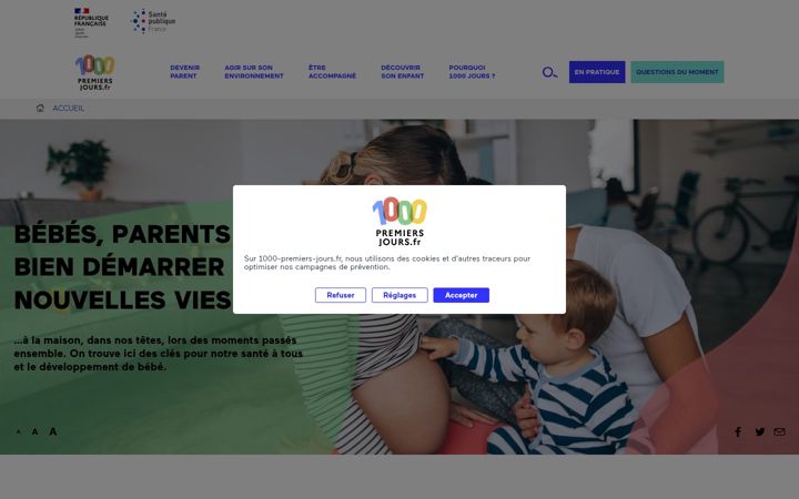 Screenshot of 1000-premiers-jours.fr