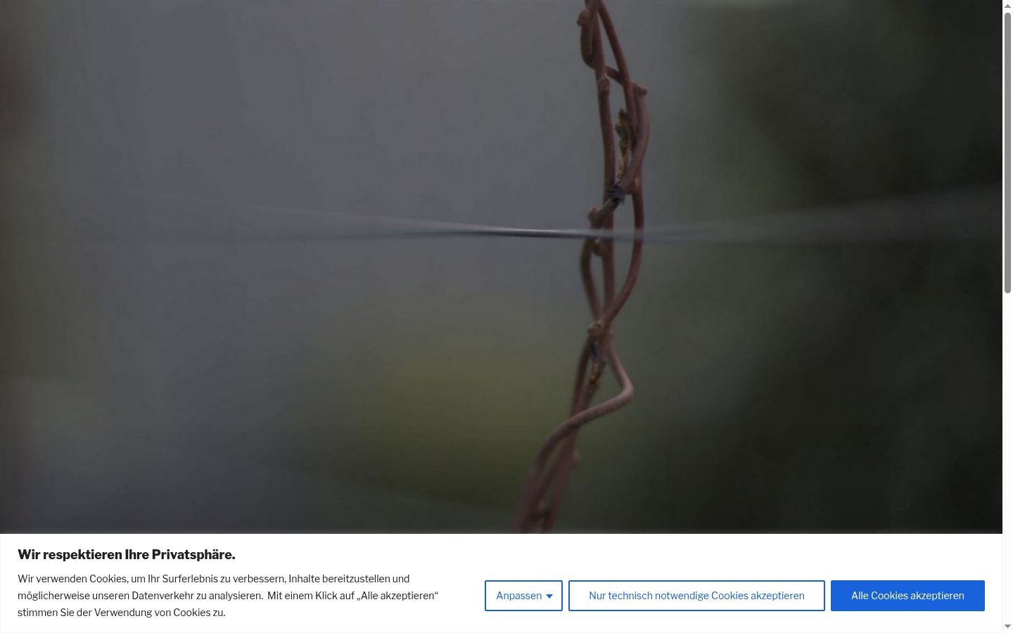 Screenshot tal-banner tal-kunsens muri qabel kwalunkwe interazzjoni