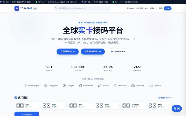Screenshot of 2024sms.com
