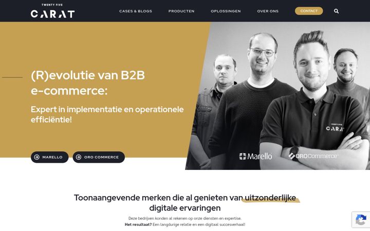 Screenshot of 25carat.be