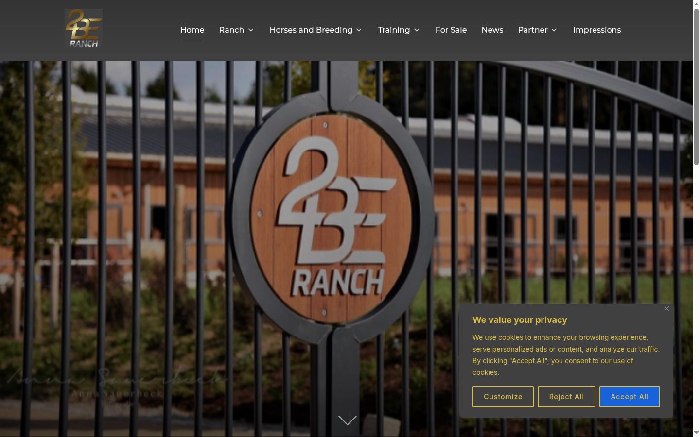 Screenshot of the consent banner shown before any interaction
