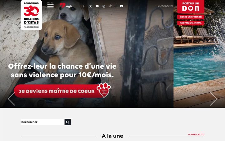 Screenshot of 30millionsdamis.fr