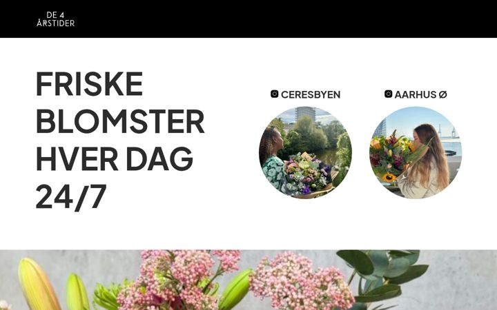 Screenshot of 4-aarstider.dk