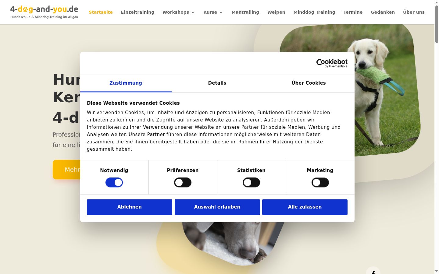 Screenshot of the consent banner shown before any interaction