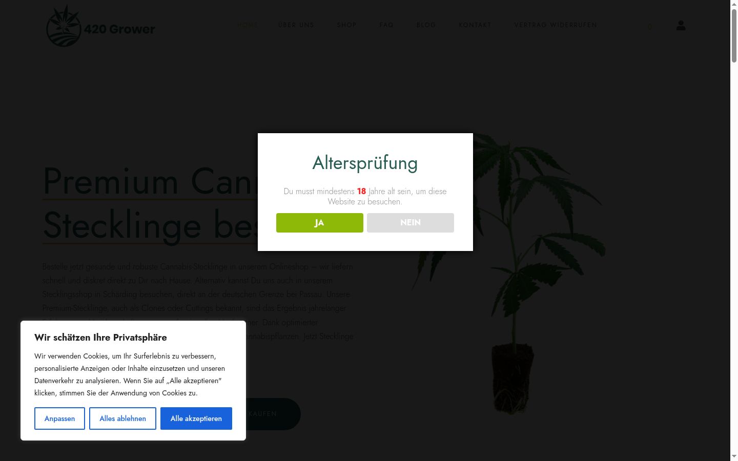 Capture d'écran de la bannière de consentement affichée avant toute interaction