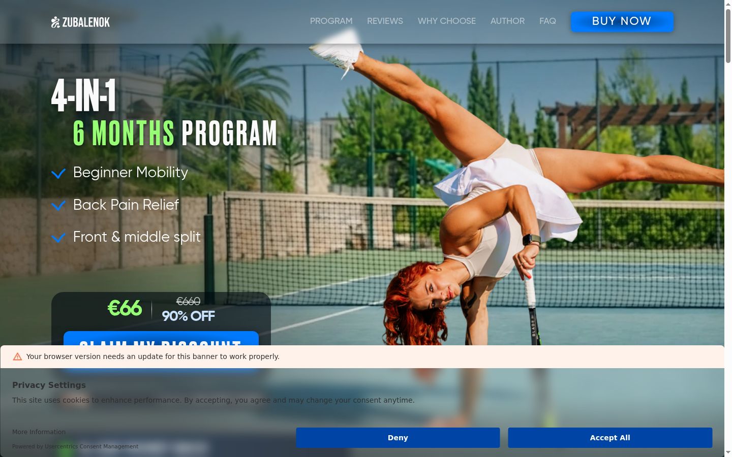 Screenshot of the consent banner shown before any interaction
