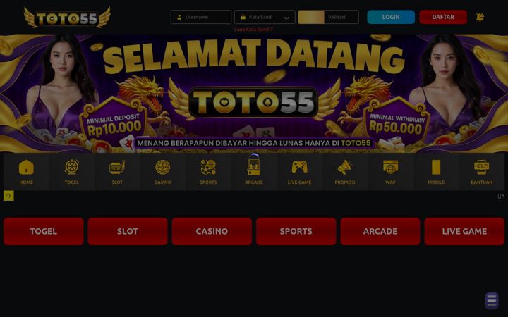 Screenshot of 55launcher.org
