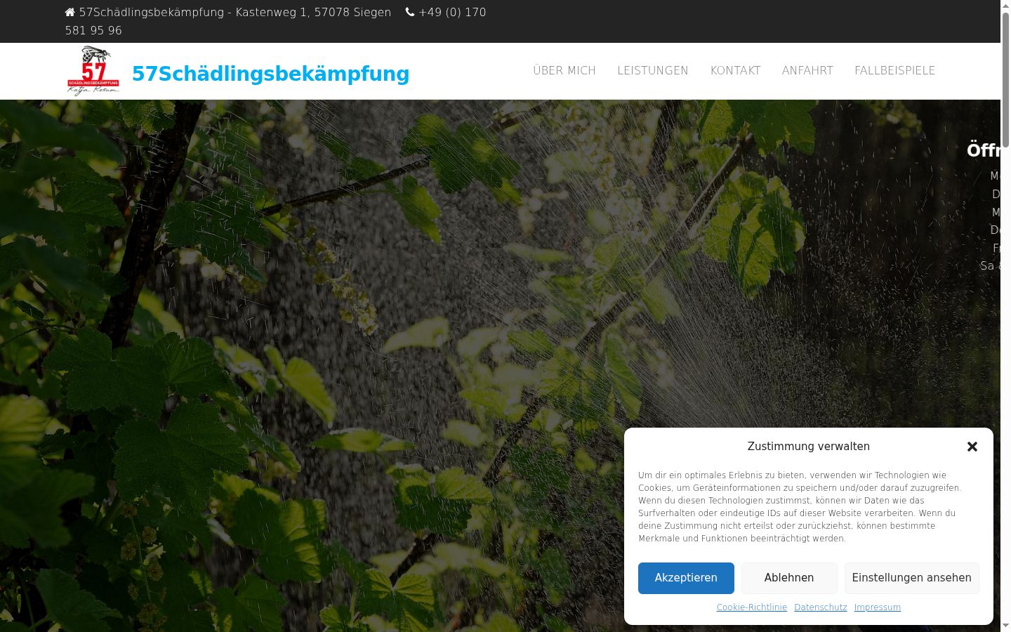 Screenshot of the consent banner shown before any interaction