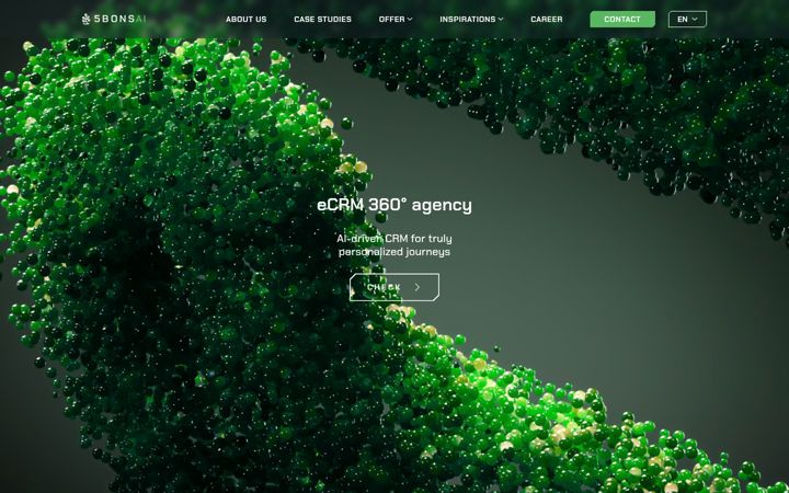 5bonsai.com