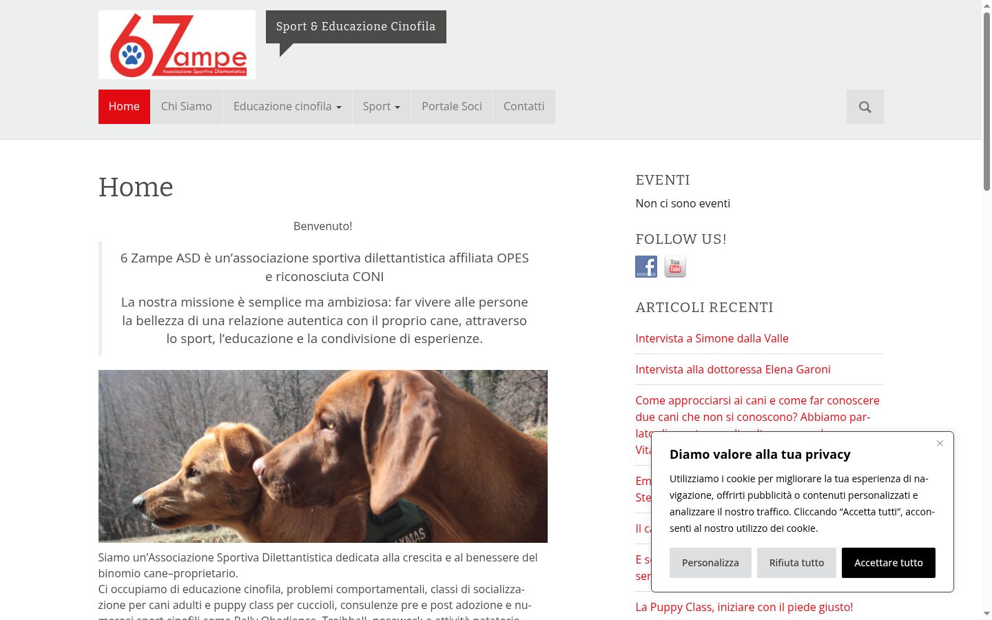 Screenshot des Einwilligungsbanners vor jeglicher Interaktion
