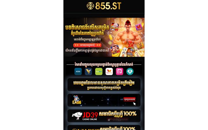 Screenshot of 855dh.com