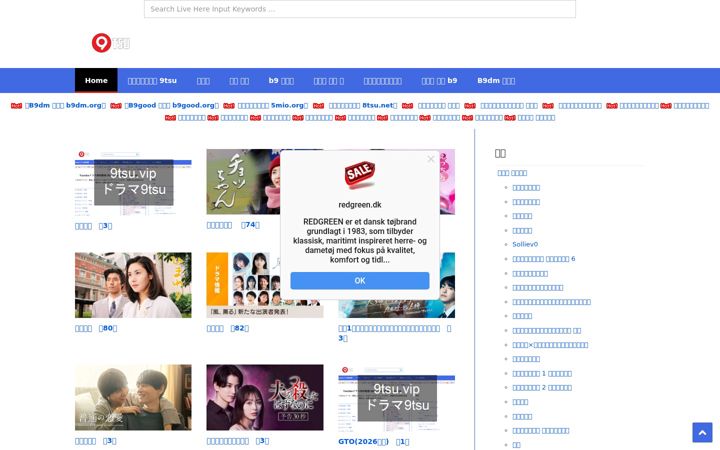 Screenshot of 9tsu.vip
