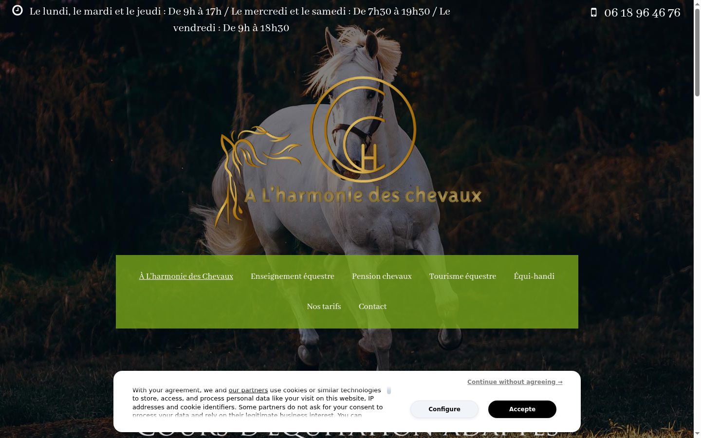 Screenshot of the consent banner shown before any interaction