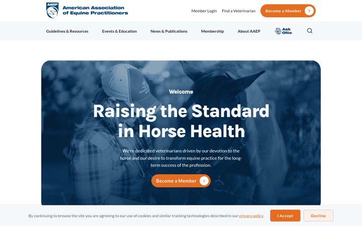 Screenshot of aaep.org