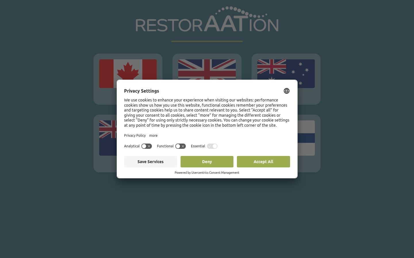 Screenshot of the consent banner shown before any interaction