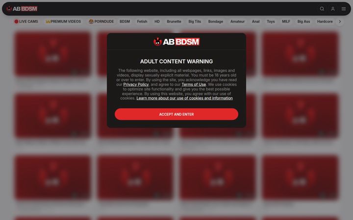 Screenshot of abbdsm.com