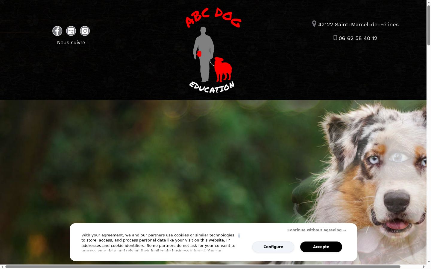 Screenshot van de toestemmingsbanner zoals getoond vóór enige interactie