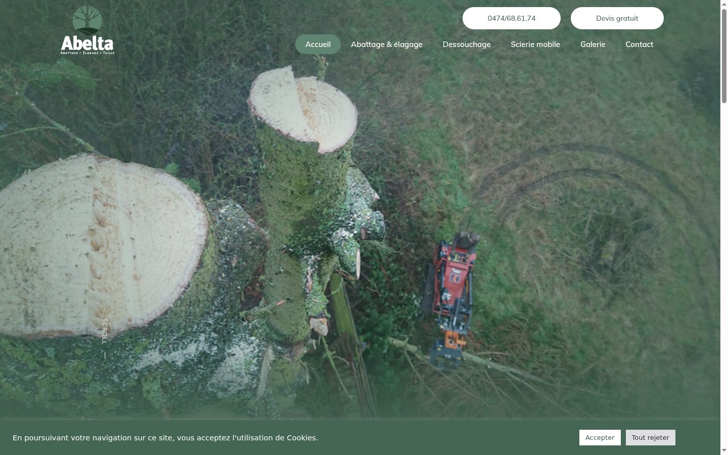 Sutikimo reklamjuostės, rodytos prieš bet kokią sąveiką, ekrano kopija
