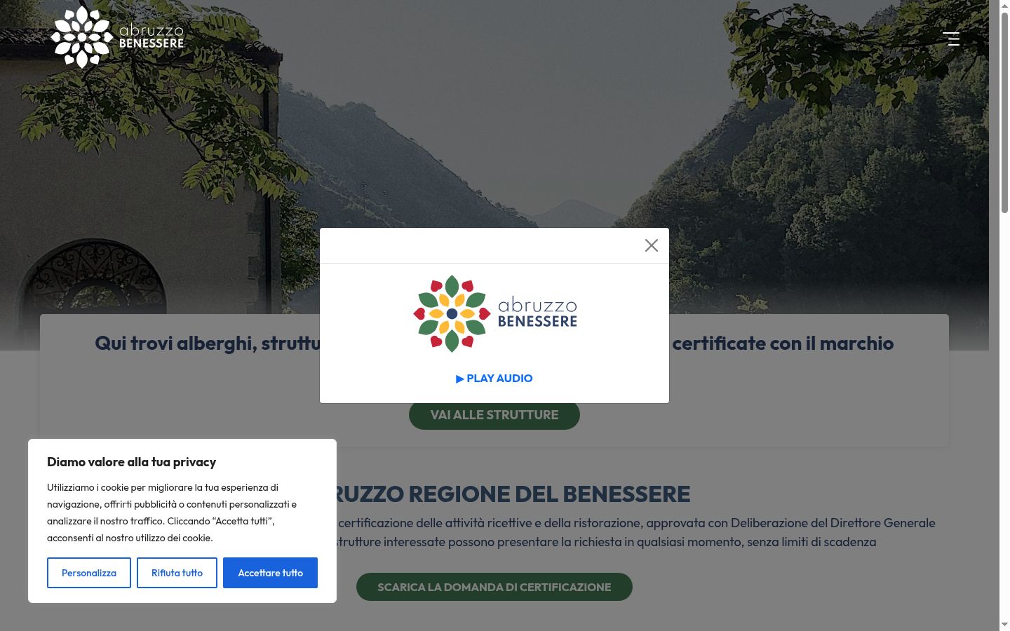 Sutikimo reklamjuostės, rodytos prieš bet kokią sąveiką, ekrano kopija
