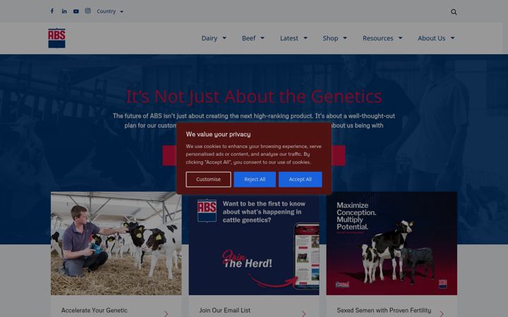 Screenshot of absglobal.com