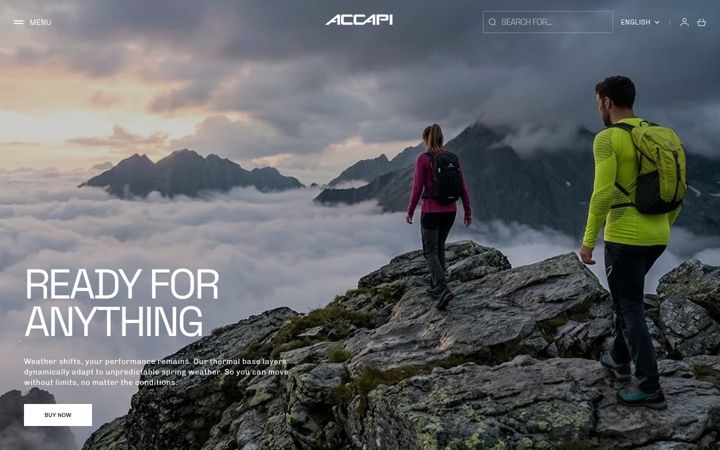 Skjámynd af accapi.com