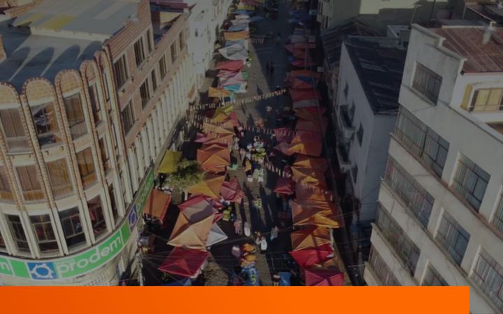 Zrzut ekranu accion.org
