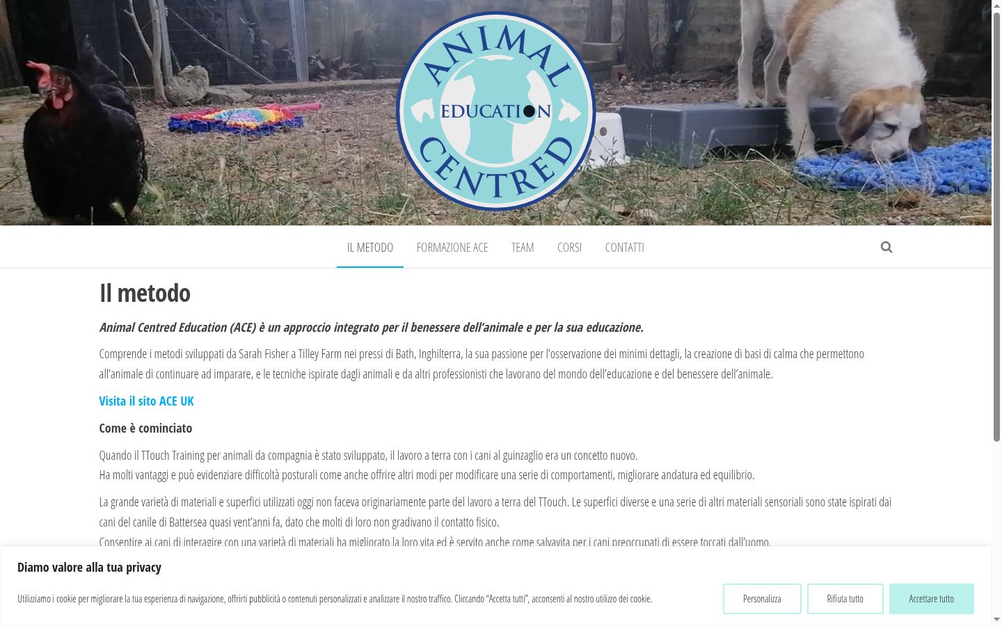 Screenshot del banner di consenso mostrato prima di qualsiasi interazione