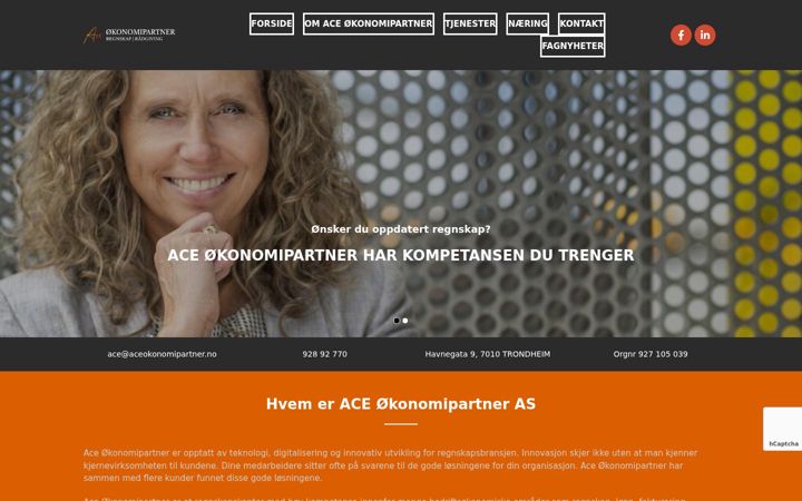 Snimka zaslona za aceokonomipartner.no