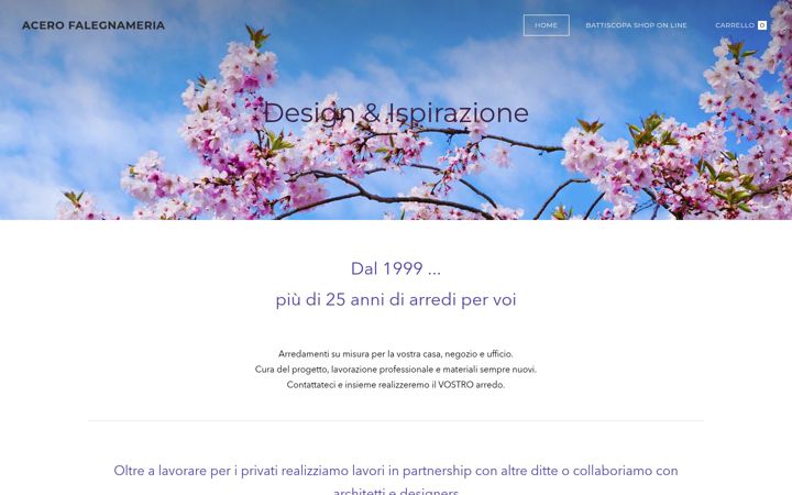 Posnetek zaslona acerofalegnameria.com