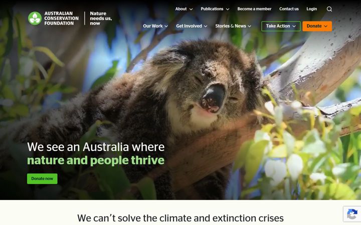 Captura de pantalla de acf.org.au