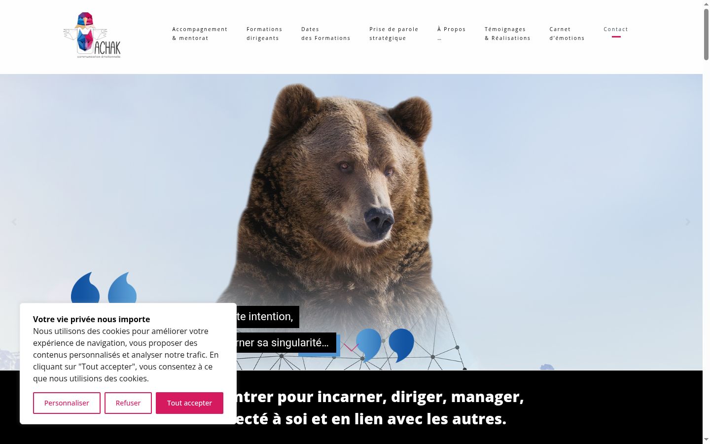 Sutikimo reklamjuostės, rodytos prieš bet kokią sąveiką, ekrano kopija