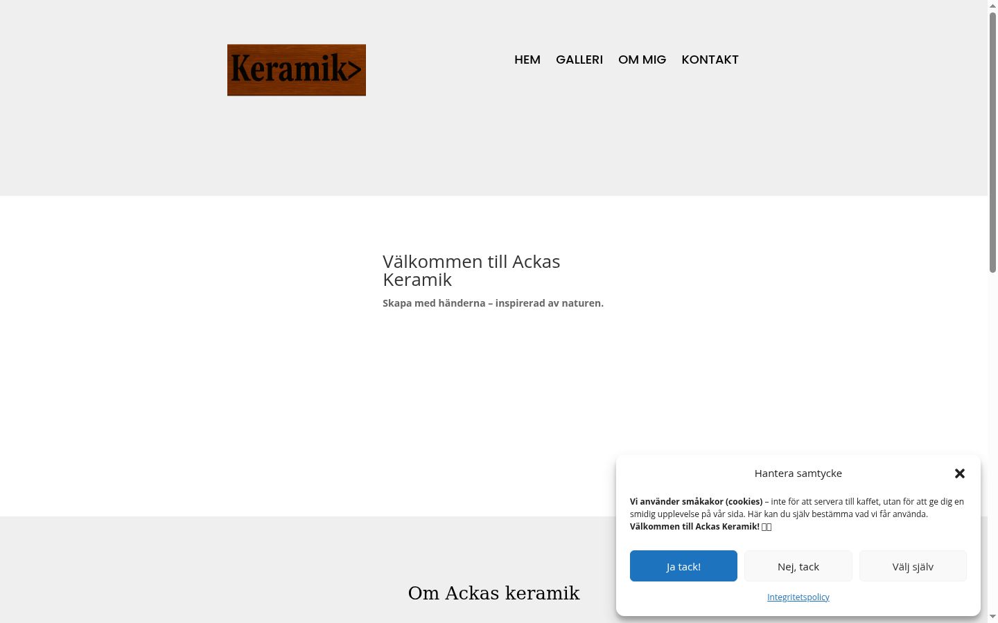 Skærmbillede af samtykkebanneret, som det blev vist før nogen interaktion