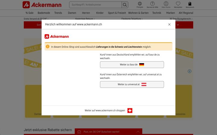 Screenshot of ackermann.ch