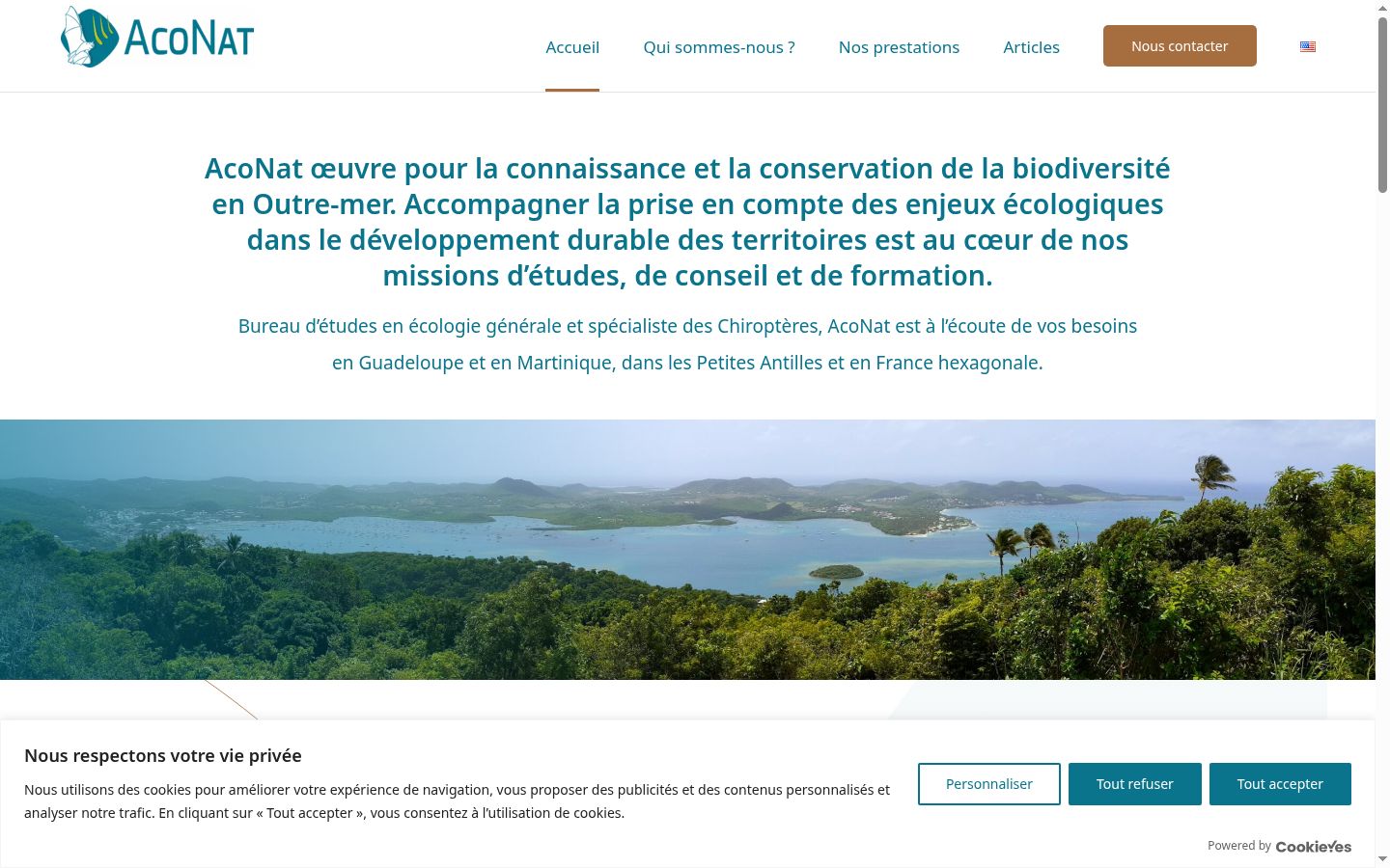 Screenshot of the consent banner shown before any interaction