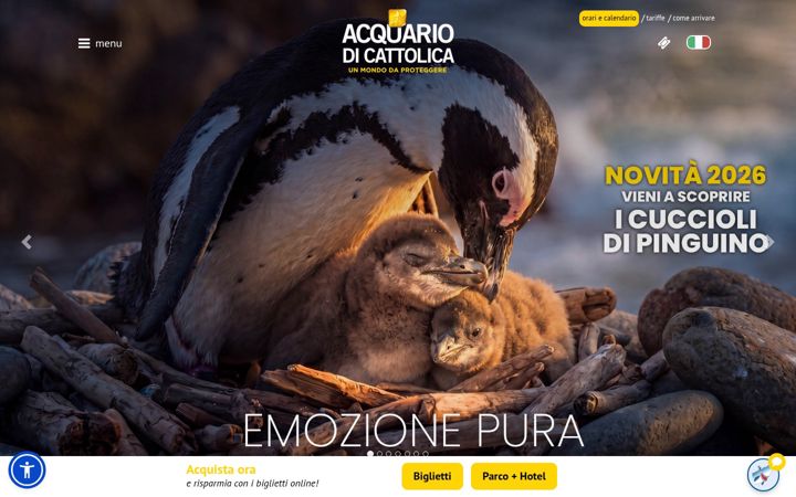 acquariodicattolica.it