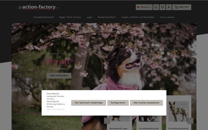 Screenshot of action-factory.ch