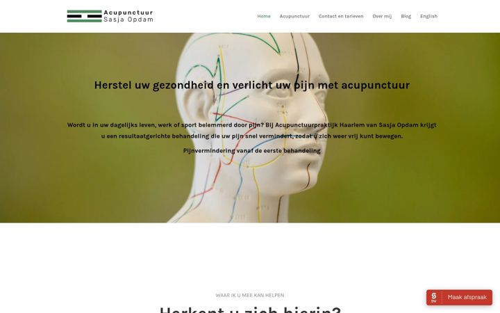 Screenshot of acupunctuurpraktijkhaarlem.nl