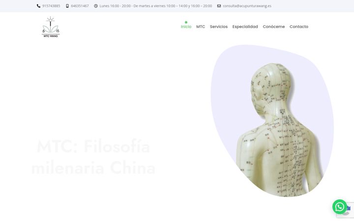 Screenshot von acupunturawang.es