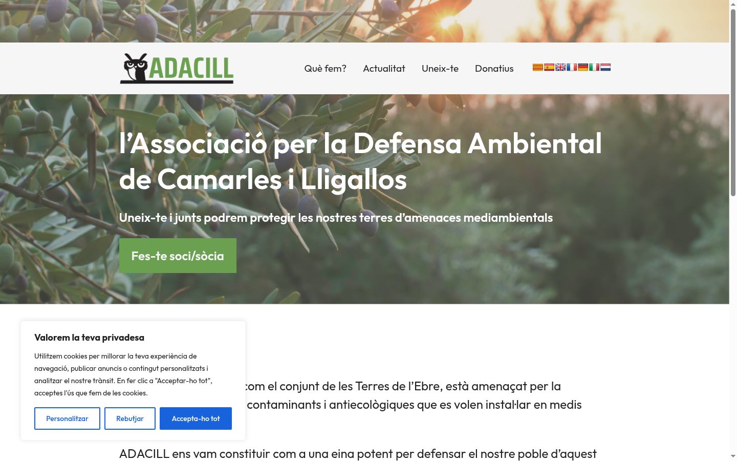 Screenshot of the consent banner shown before any interaction