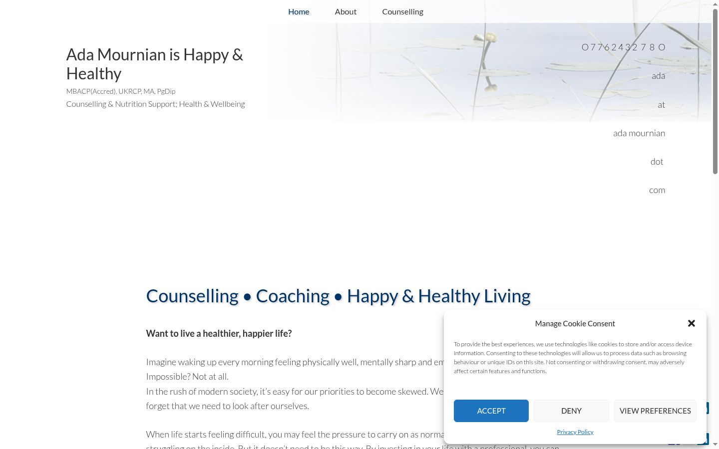 Screenshot of the consent banner shown before any interaction