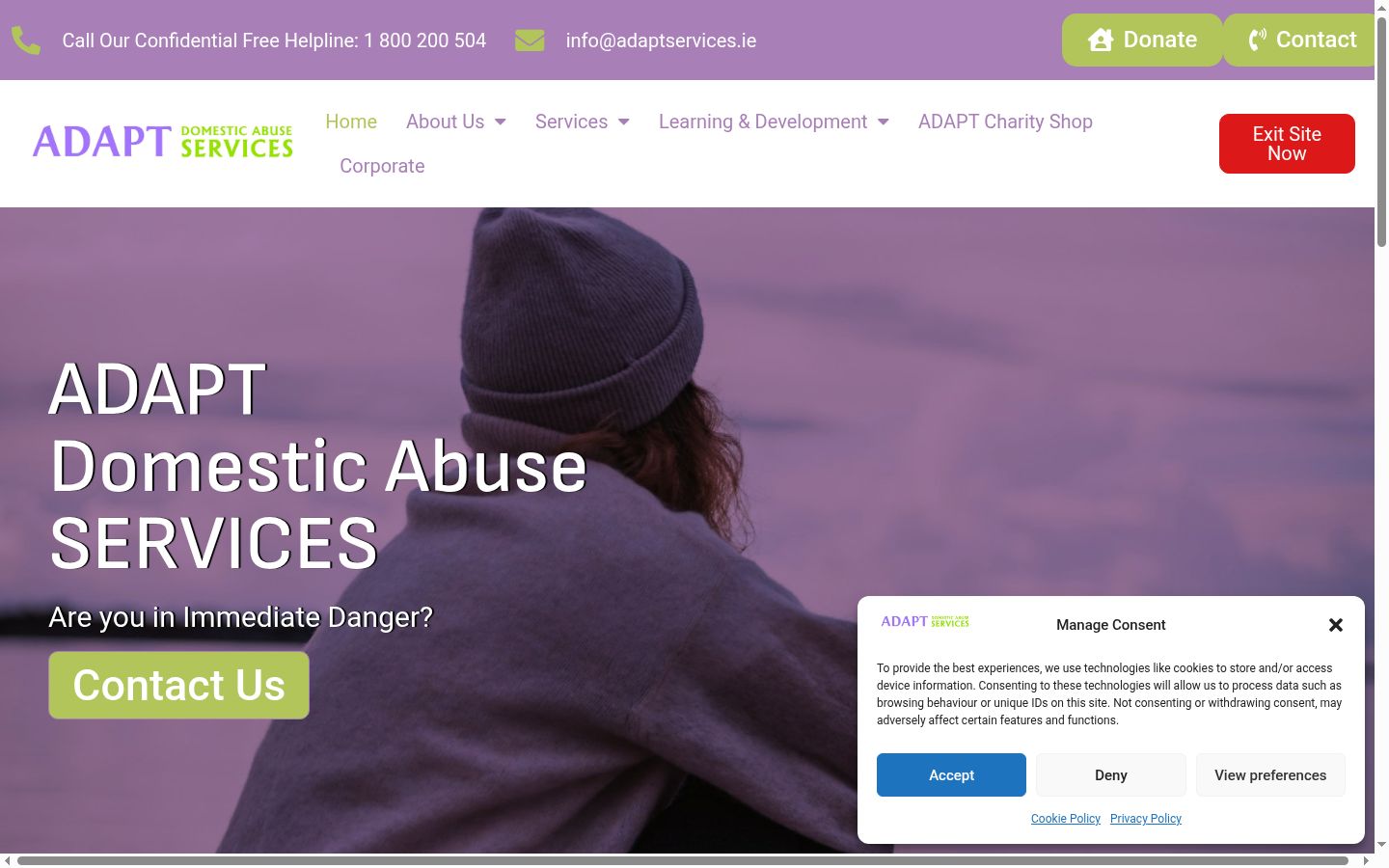Screenshot of the consent banner shown before any interaction