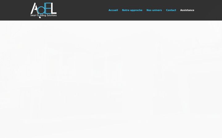 Zrzut ekranu adel-sbs.com