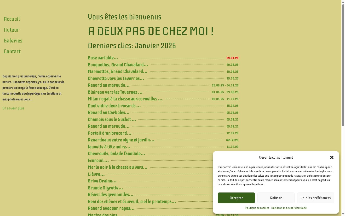 Snímka obrazovky banera súhlasu zobrazeného pred akoukoľvek interakciou