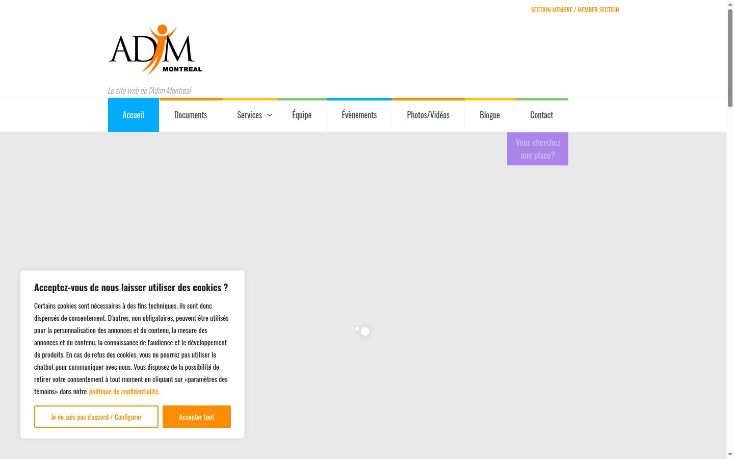 Screenshot del banner di consenso mostrato prima di qualsiasi interazione