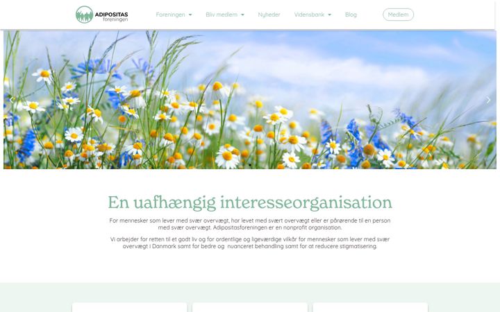 Zrzut ekranu adipositasforeningen.dk