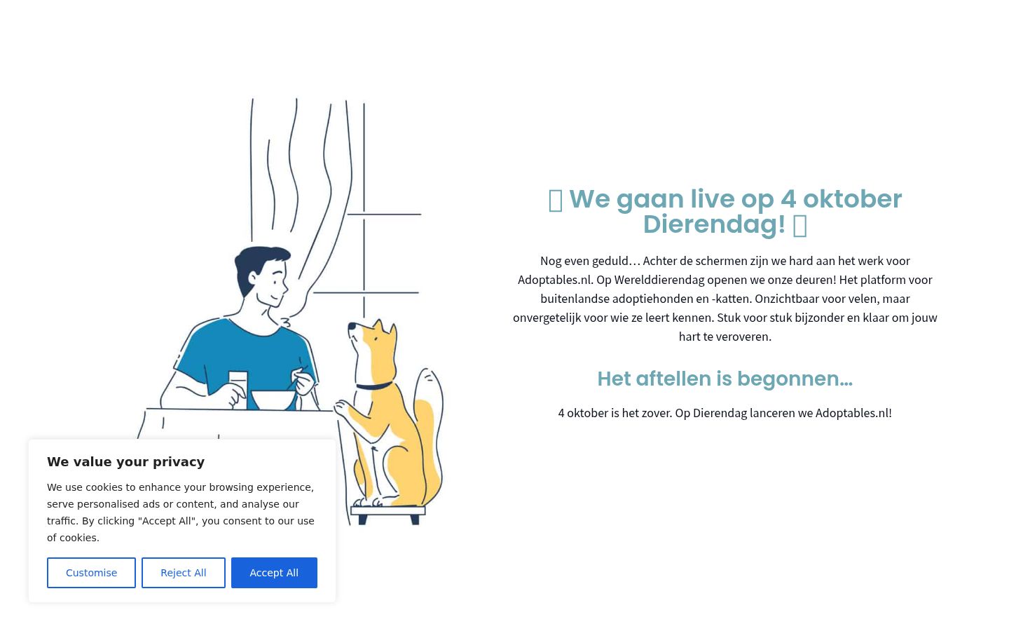Skærmbillede af samtykkebanneret, som det blev vist før nogen interaktion