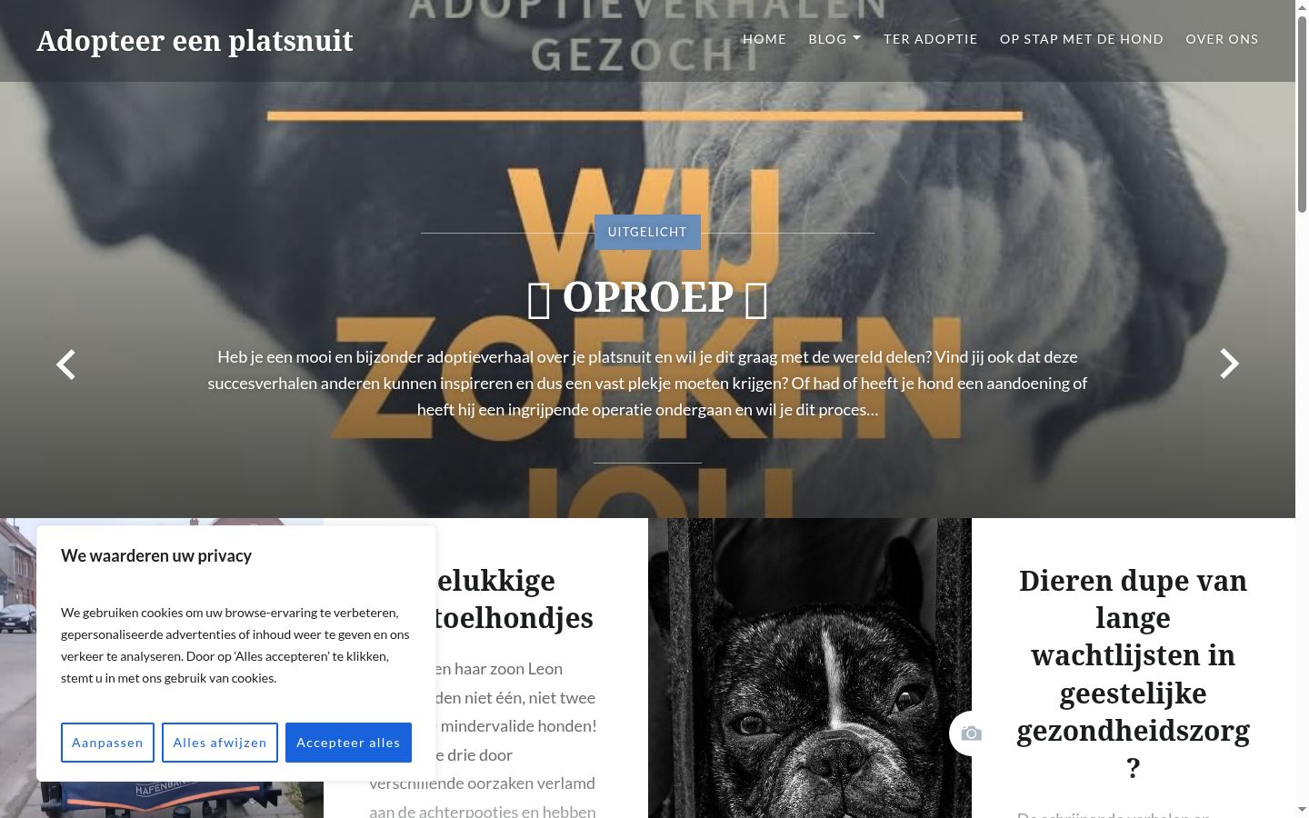 Ekrānuzņēmums ar piekrišanas baneri, kas tika rādīts pirms jebkādas mijiedarbības