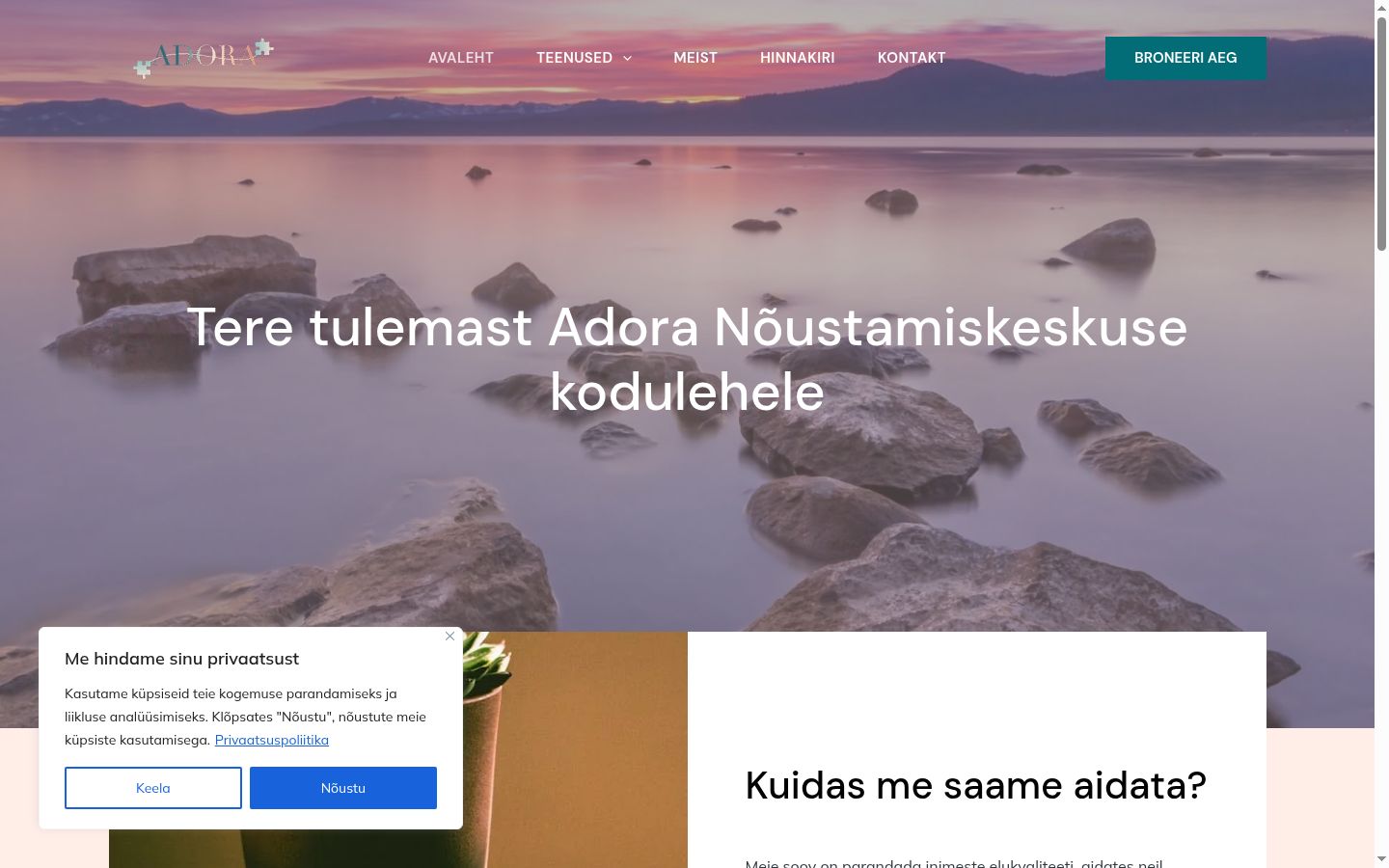 Sutikimo reklamjuostės, rodytos prieš bet kokią sąveiką, ekrano kopija