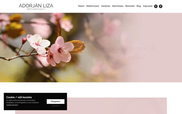 Kuvakaappaus sivustosta adorjanliza.hu